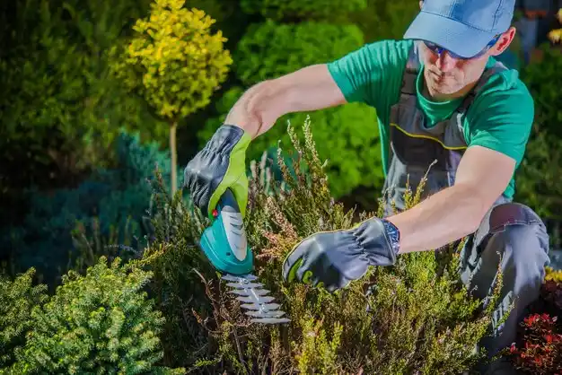 landscaping services Lake Mohegan